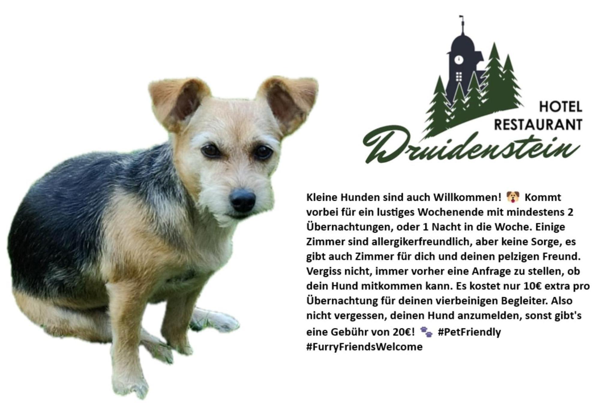 Hotel & Restaurant Druidenstein Trautenstein Exteriér fotografie